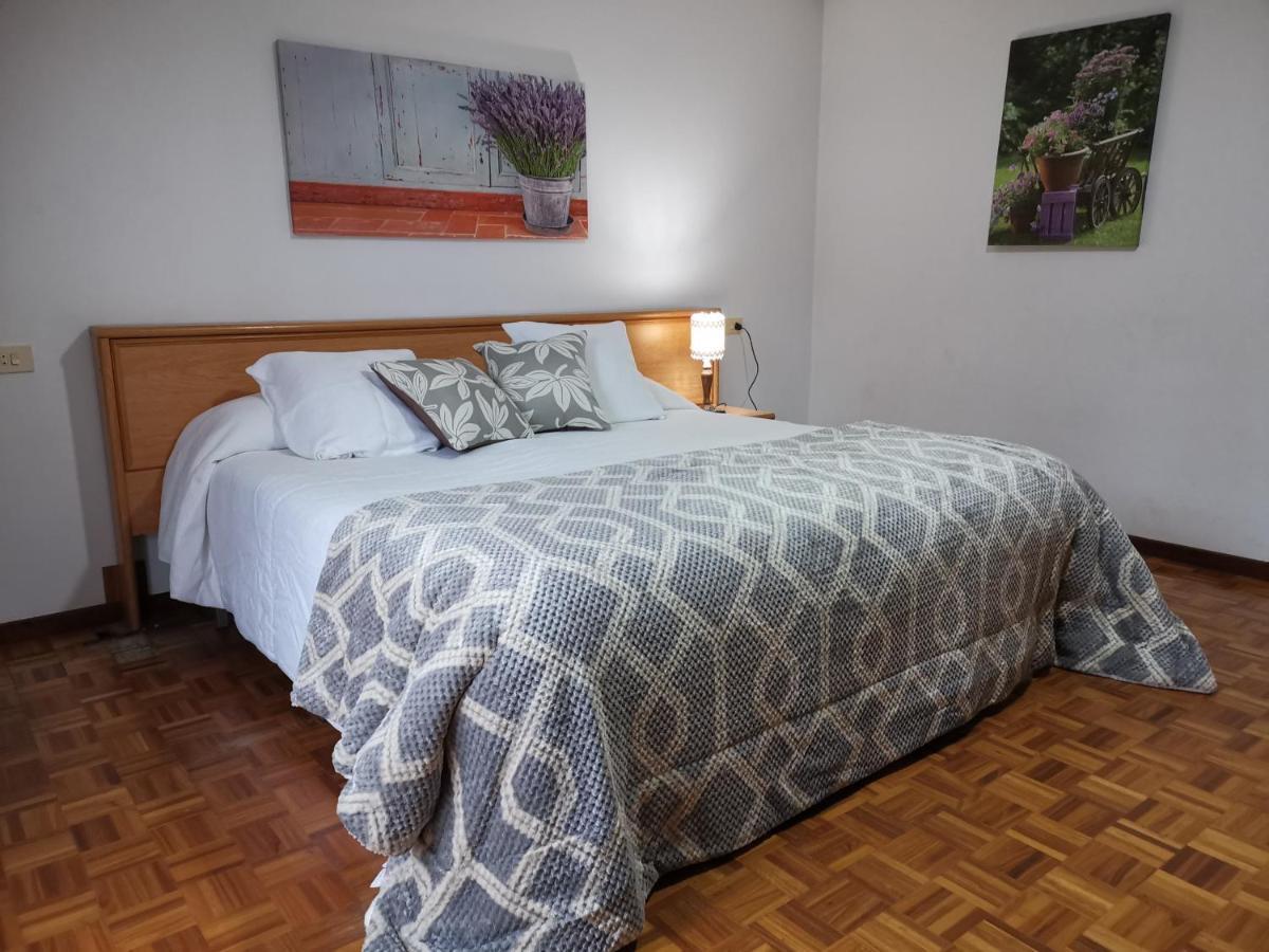 Garden Lodge Hostal Evencio Ribadavia Εξωτερικό φωτογραφία